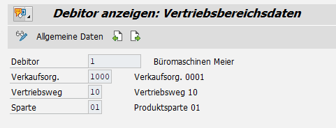 sap_sd_monitor_debitor_anzeige.png
