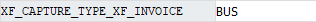 sap_param_xt_capture_type.png