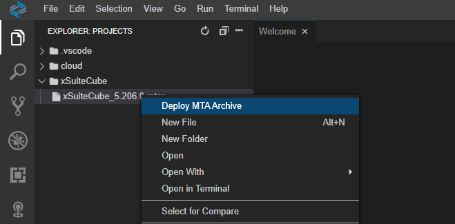 AppStudio_MTAR_deploy.png